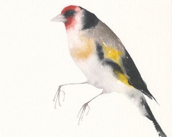 Original Bird Watercolor Painting Goldfinch - Bird Wall Art