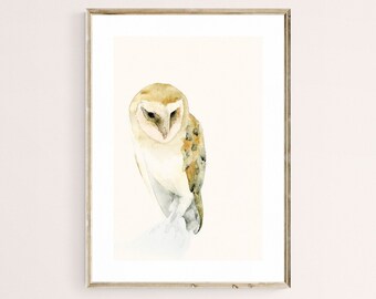 Barn Owl Bird Watercolor Art Print