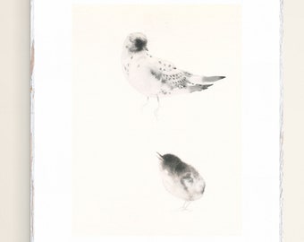 Bird Art Print from Original Watercolor Painting Tern with her Young