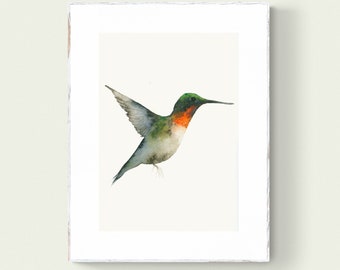 Watercolor Hummingbird Art, Fine Art Print from Original Watercolor