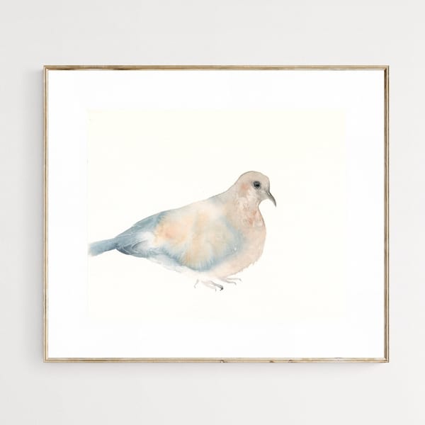 Dove Watercolor Bird Art Print