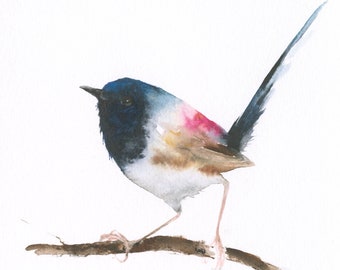 Dark Blue and Pink Bird Original Watercolor Bird Painting