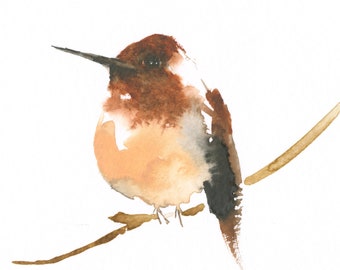 Brown and rose Hummingbird Original Watercolor Art