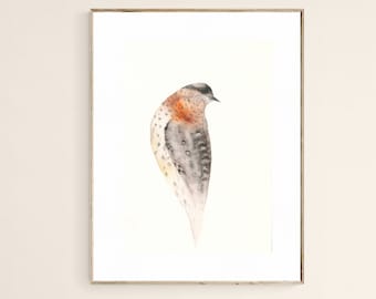 Original Bird Watercolor Wryneck