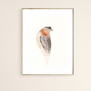 Bird Art Print from Original Watercolor Wryneck