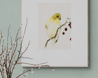 Vogel Aquarell Gelber Fink und Beeren, Heimische Vögel Kunstdruck auf Büttenpapier