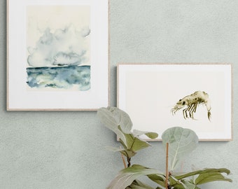 Prawn Watercolor Fine Art Print - Sea Creature Wall Art