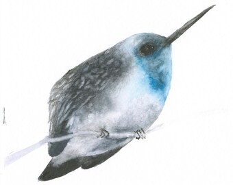 Blue and Black Hummingbird Original Watercolor Art