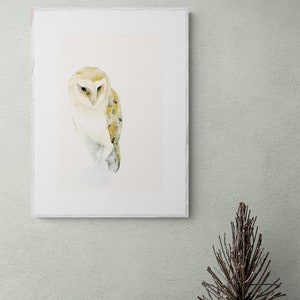 Barn Owl Watercolor Print Bird Wall Art, Gift for Owl Lover image 9