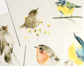 Ensemble de cartes postales oiseaux locaux, cartes postales nature durables