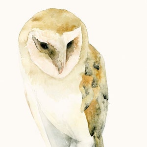 Barn Owl Watercolor Print Bird Wall Art, Gift for Owl Lover image 2