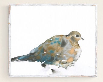 Original Bird Watercolor Dove Painting