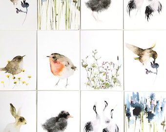 Set of Nature Postcards, Mix and Match Postcards, Postcard Set Birds