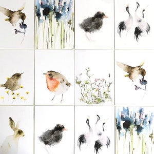 Set of Nature Postcards, Mix and Match Postcards, Postcard Set Birds image 1