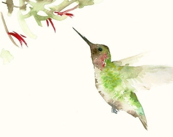 Green Hummingbird and Red Flowers - Watercolor Fine Art Print, Humming Bird Gifts