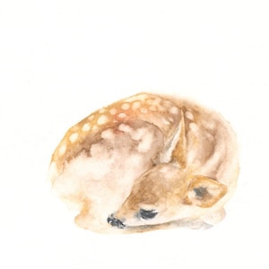 Sleeping Fawn Artist Animal Watercolor Card Blank Greeting Card