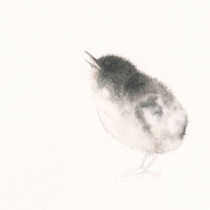 Seeschwalbe und Junges - Vogel Aquarell Wand Deko