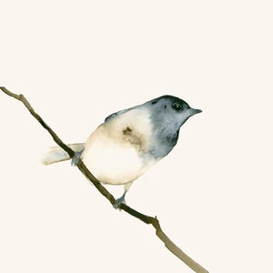 Ghost Bird Watercolor Fine Art Print - Unique Bird Wall Art