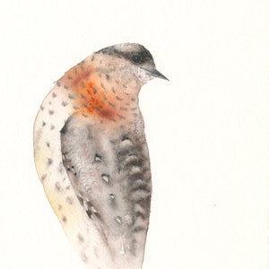 Original Bird Watercolor Wryneck image 2