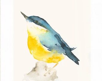 Watercolor Bird Print Nuthatch Garden Bird Wall Art