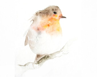 Red Robin Watercolor Bird Art Print from Original Watercolor - Gardenbird Wall Decor