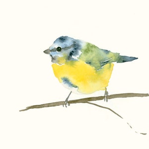 Bird Watercolor Art Print Blue Tit Garden Bird Wall Decor image 2