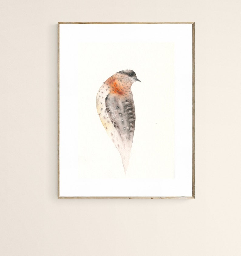 Original Bird Watercolor Wryneck image 1