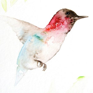 Hummingbird Watercolor Art Print, Blue and Pink Hummingbird image 2