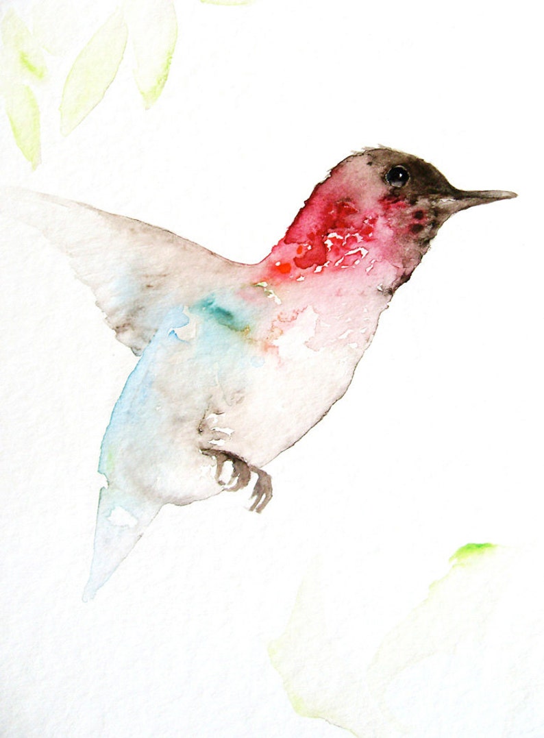 Hummingbird Watercolor Art Print, Blue and Pink Hummingbird image 2