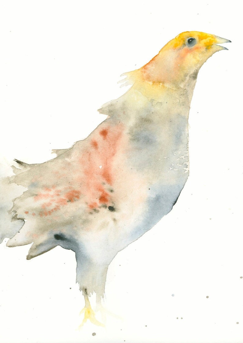 Bird Watercolor Art Print Partridge Unique Bird Art image 2