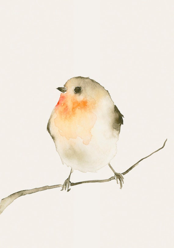 Red Robin Bird Drawing