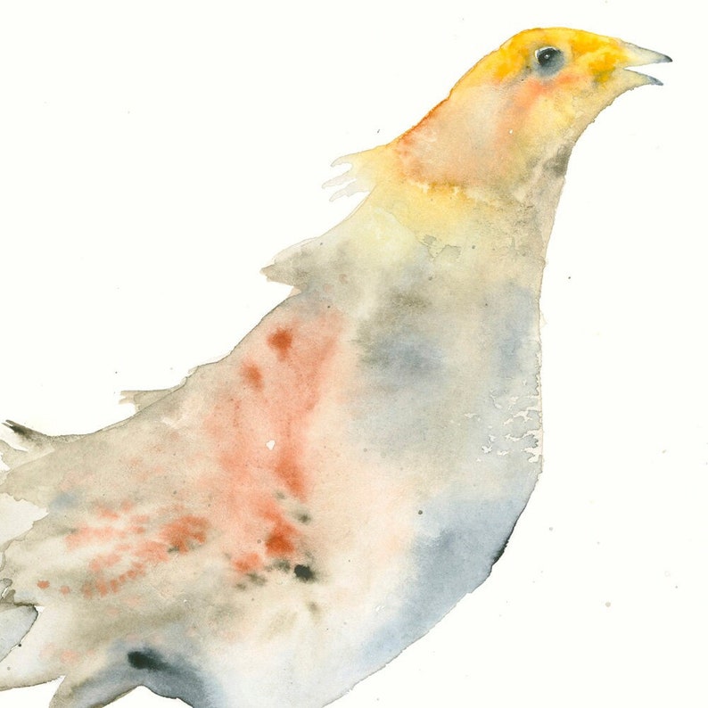 Bird Watercolor Art Print Partridge Unique Bird Art image 3