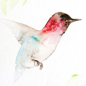 Hummingbird Watercolor Art Print, Blue and Pink Hummingbird image 4