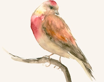 Pink Bird Original Watercolor Artwork