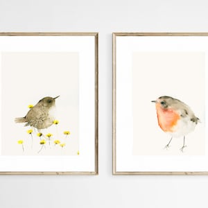 Set di 2 stampe artistiche ad acquerello scricciolo e pettirosso - decorazione murale con uccelli nativi