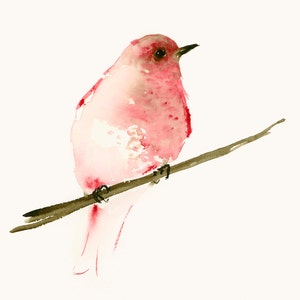 Bird Watercolor Print Raspberry Red Bird - Bird Gifts