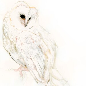 Schnee Eule Fine Art Druck eines Original Aquarells