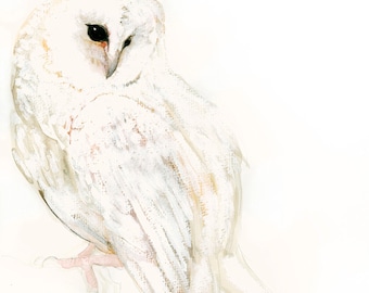 Owl Art Snow Owl Fine Art Print