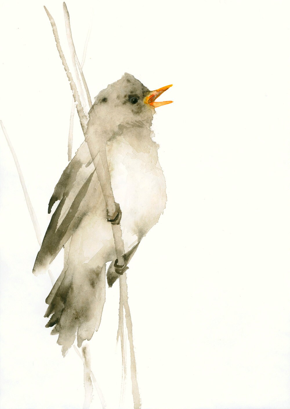 Bird Art Card Songbird Blank Greeting Card - Etsy