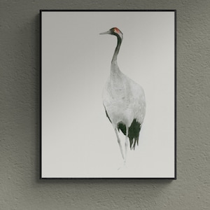 Könnte beinhalten: Ein gerahmtes Aquarellbild eines grauen Kranichs mit einer roten Krone auf dem Kopf, der auf einem weißen Hintergrund steht.