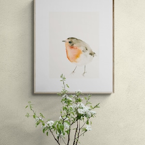 Red Robin Bird Watercolor Art Print image 9