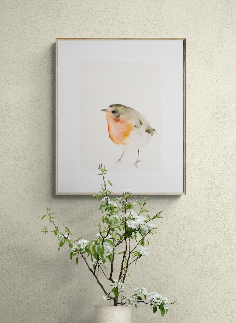 Red Robin Bird Watercolor Art Print image 9
