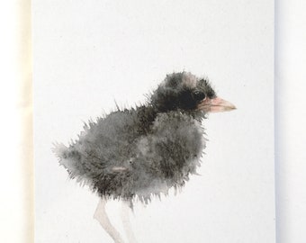 Vogel Postkarte Baby Teichhuhn, Postkarten Set, Aquarell Postkarte, Nachhaltige Karten