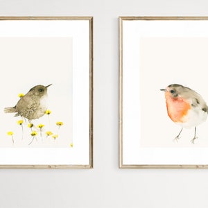 Red Robin Bird Watercolor Art Print image 6