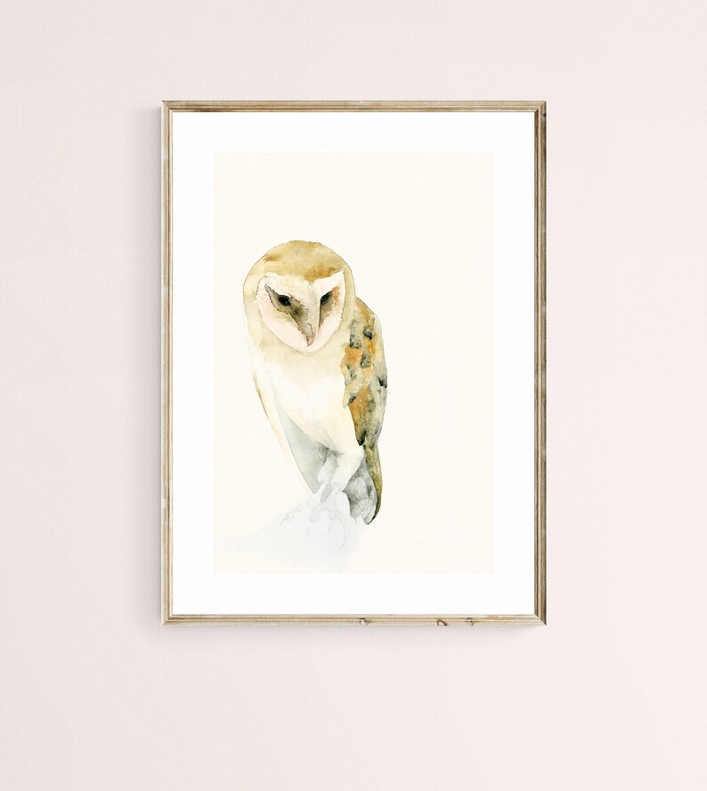 Barn Owl Watercolor Print Bird Wall Art, Gift for Owl Lover image 4