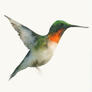 Green and Red Hummingbird Watercolor Bird Art Print, Humming Bird Walle Decor image 1