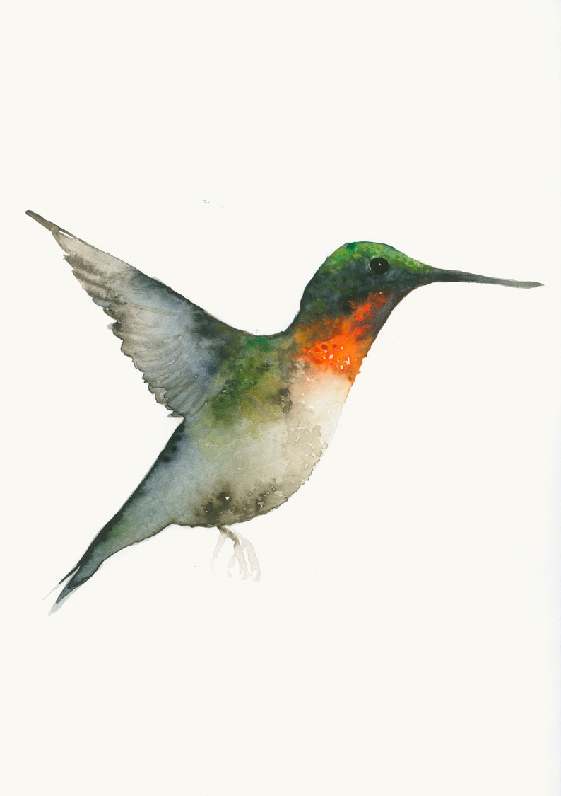 Green and Red Hummingbird Watercolor Bird Art Print, Humming Bird Walle Decor image 1