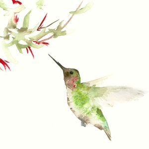 Hummingbird Watercolor Art Print - Bird Wall Decor