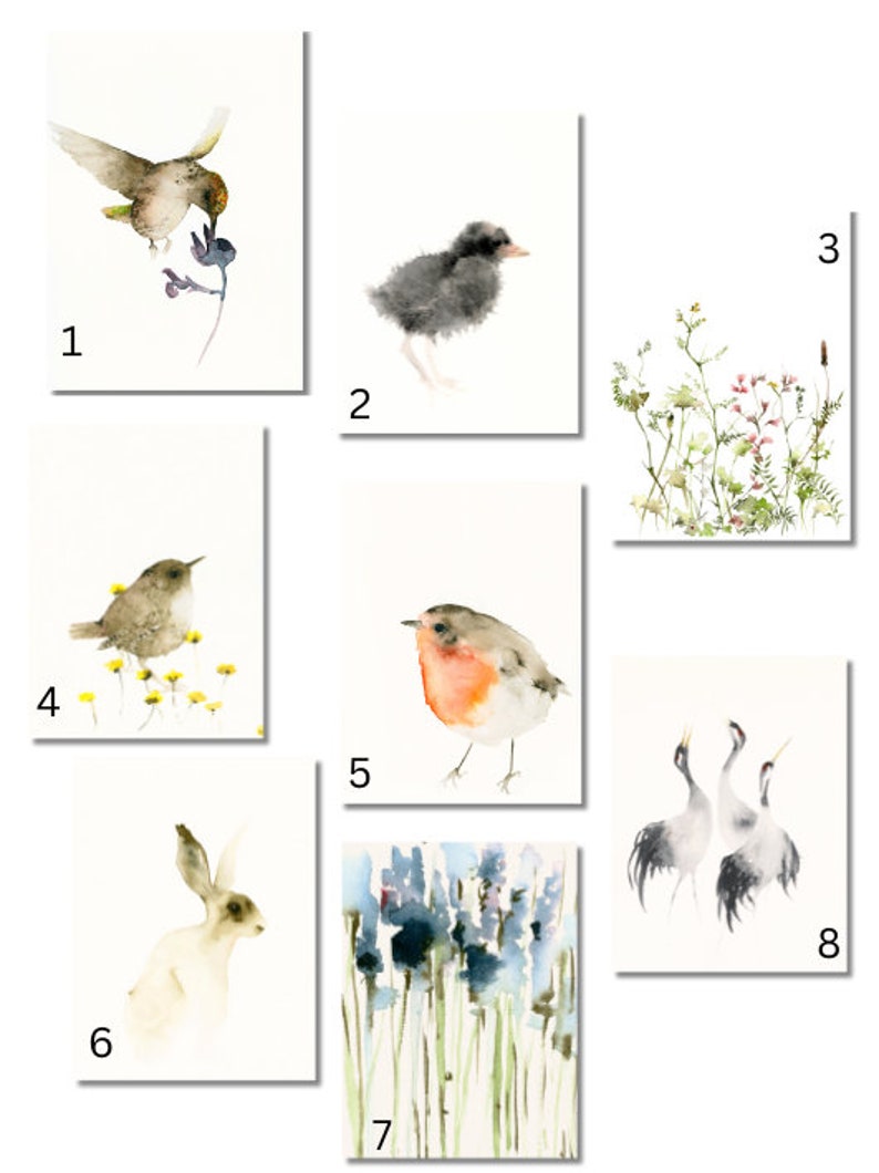 Set of Nature Postcards, Mix and Match Postcards, Postcard Set Birds image 2