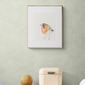 Red Robin Bird Watercolor Art Print image 5